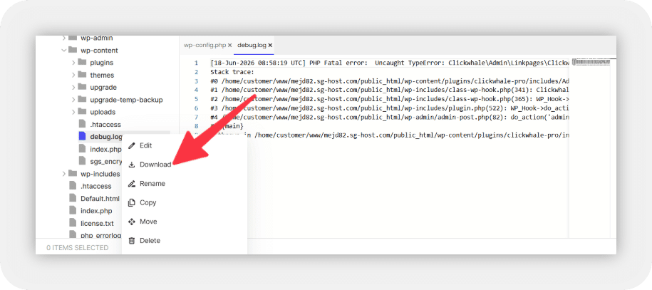 ClickWhale debug log download